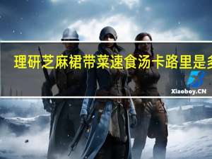 理研 芝麻裙带菜速食汤卡路里是多少