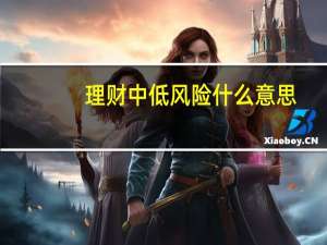 理财中低风险什么意思