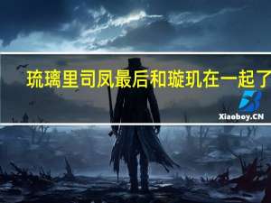 琉璃里司凤最后和璇玑在一起了吗