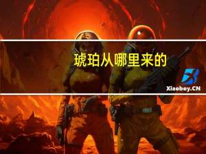 琥珀从哪里来的