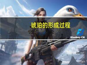 琥珀的形成过程