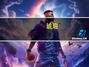 琥珀（关于琥珀的介绍）