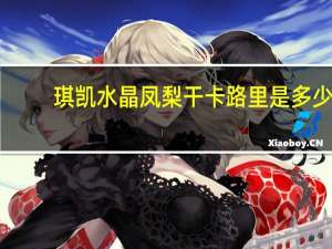 琪凯 水晶凤梨干卡路里是多少