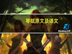 琴赋原文及译文