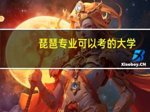 琵琶专业可以考的大学
