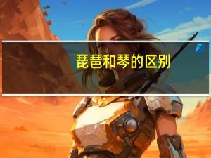 琵琶和琴的区别