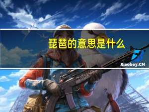 琵琶的意思是什么