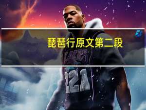 琵琶行原文第二段