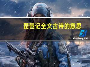 琵琶记全文古诗的意思