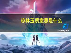 琼林玉质意思是什么