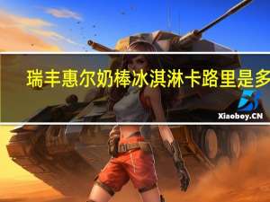 瑞丰惠尔 奶棒冰淇淋卡路里是多少