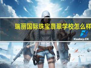 瑞丽国际珠宝翡翠学校怎么样