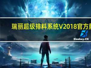 瑞丽超级排料系统 V2018 官方版（瑞丽超级排料系统 V2018 官方版功能简介）