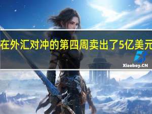 瑞典央行在外汇对冲的第四周卖出了5亿美元和2000万欧元
