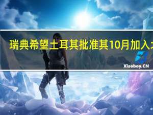 瑞典希望土耳其批准其10月加入北约