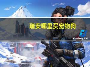 瑞安哪里买宠物狗