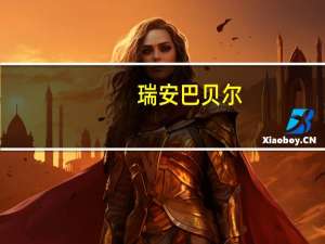 瑞安巴贝尔,荷兰（瑞安巴贝尔）