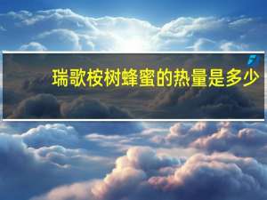 瑞歌 桉树蜂蜜的热量是多少