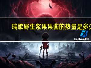 瑞歌 野生浆果果酱的热量是多少