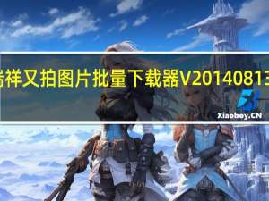 瑞祥又拍图片批量下载器 V20140813 官方版（瑞祥又拍图片批量下载器 V20140813 官方版功能简介）