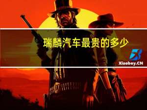 瑞麟汽车最贵的多少