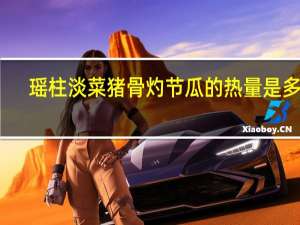 瑶柱淡菜猪骨灼节瓜的热量是多少