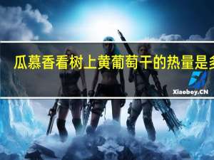 瓜慕香看 树上黄葡萄干的热量是多少