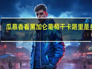 瓜慕香看 黑加仑葡萄干卡路里是多少