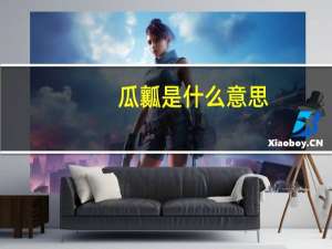 瓜瓤是什么意思