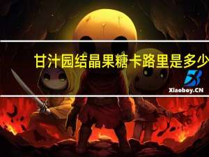 甘汁园 结晶果糖卡路里是多少