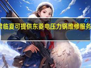 甘肃临夏可提供东菱电压力锅维修服务地址在哪
