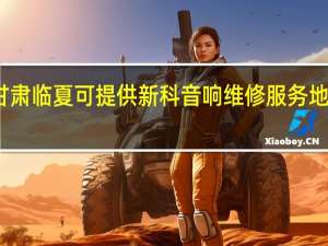 甘肃临夏可提供新科音响维修服务地址在哪