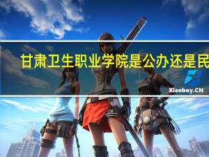 甘肃卫生职业学院是公办还是民办