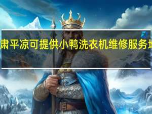 甘肃平凉可提供小鸭洗衣机维修服务地址在哪