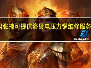 甘肃张掖可提供洛贝电压力锅维修服务地址在哪