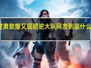 甘肃敦煌又现骆驼大队网友 到底什么情况嘞