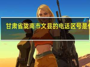 甘肃省陇南市文县的电话区号是什么