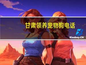 甘肃领养宠物狗电话