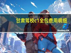 甘肃驾校c1全包费用明细
