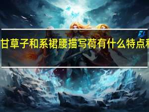 甘草子和系裙腰描写荷有什么特点和作用