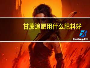 甘蔗追肥用什么肥料好