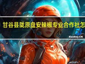 甘谷县陇原盘安辣椒专业合作社怎么样