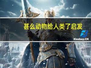 甚么动物给人类了启发