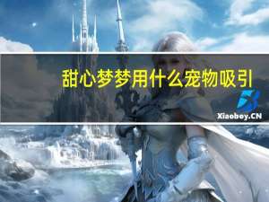 甜心梦梦用什么宠物吸引