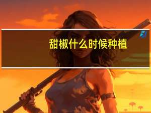 甜椒什么时候种植