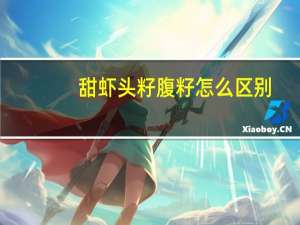 甜虾头籽腹籽怎么区别