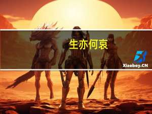 生亦何哀,死亦何苦意思