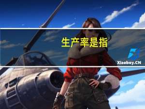 生产率是指
