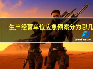 生产经营单位应急预案分为哪几类