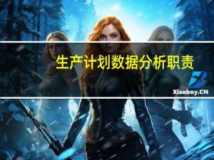 生产计划数据分析职责